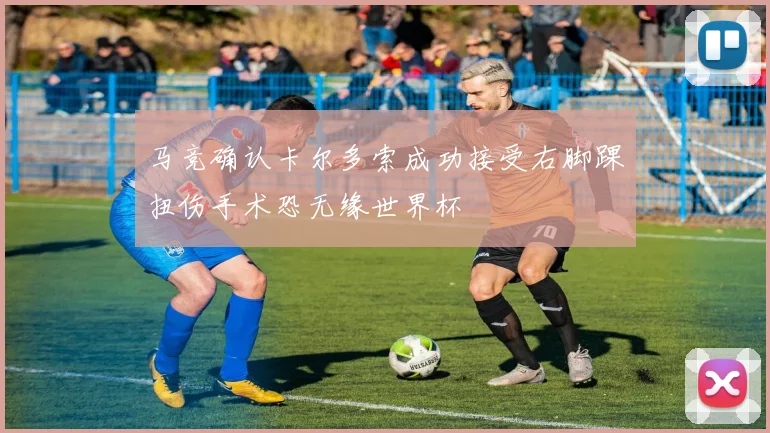 马竞确认卡尔多索成功接受右脚踝扭伤手术恐无缘世界杯