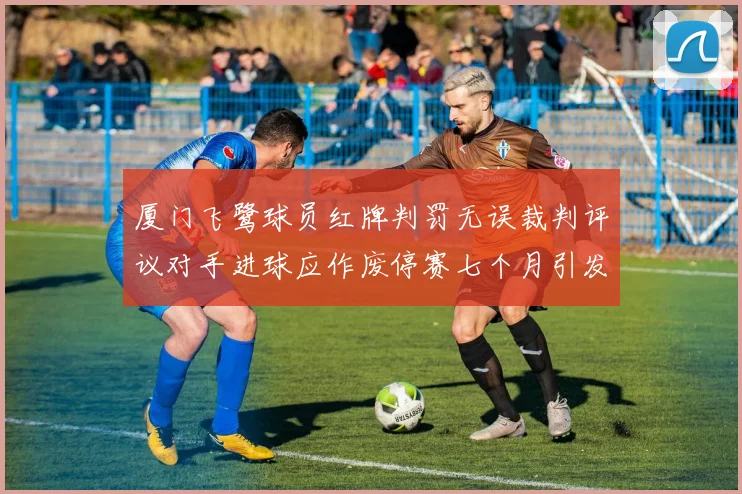 厦门飞鹭球员红牌判罚无误裁判评议对手进球应作废停赛七个月引发热议
